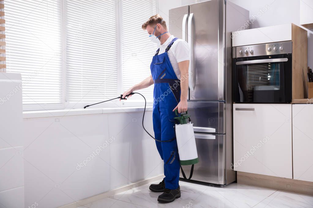 Young Man Spraying Pesticide On Windowsill In Kitchen