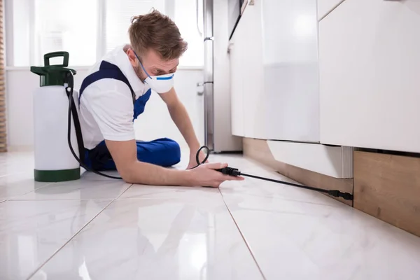 Young Male Exterminator Worker Spraying Insecticide Chemical Kitchen — Stock Photo, Image