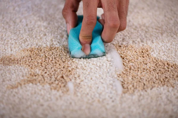 Hausmeister Reinigt Flecken Auf Teppich Mit Schwamm — Stockfoto