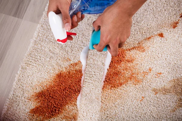 Tilikan Elevated Dari Sebuah Janitor Membersihkan Stain Carpet Sponge — Stok Foto