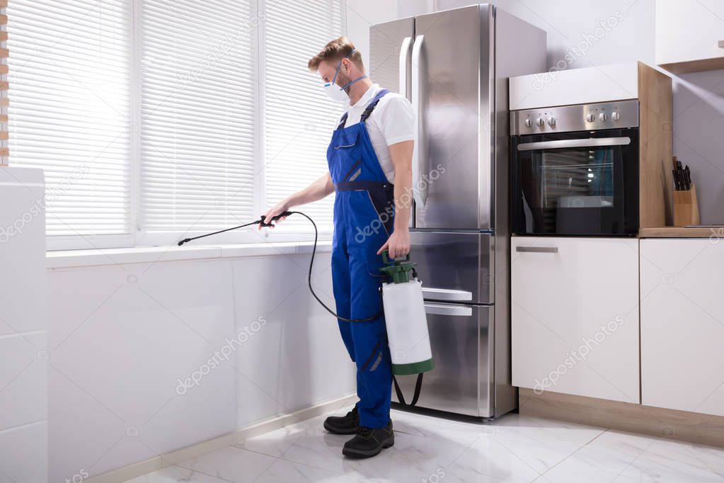 Young Male Exterminator Worker Spraying Insecticide Chemical In Kitchen