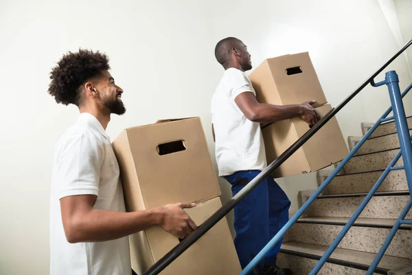 Dois Jovens Trabalhadores Sexo Masculino Segurando Caixas Papelão Enquanto Trepando — Fotografia de Stock