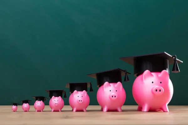 Aumentando Bancos Piggy Cor Rosa Com Chapéu Graduação Arranjado Uma — Fotografia de Stock