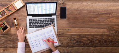 Gantt Çizelgesi ile Takvimde İşkadını İşaretleme Genel Görünümü