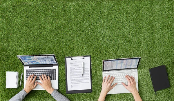 Blick Aus Der Vogelperspektive Auf Geschäftsleute Die Mit Laptops Gras — Stockfoto