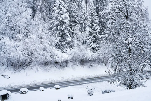 Kış Yolu Buz Karla — Stok fotoğraf