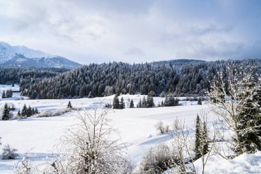 Sabahları Dağlarda Karlı Manzara