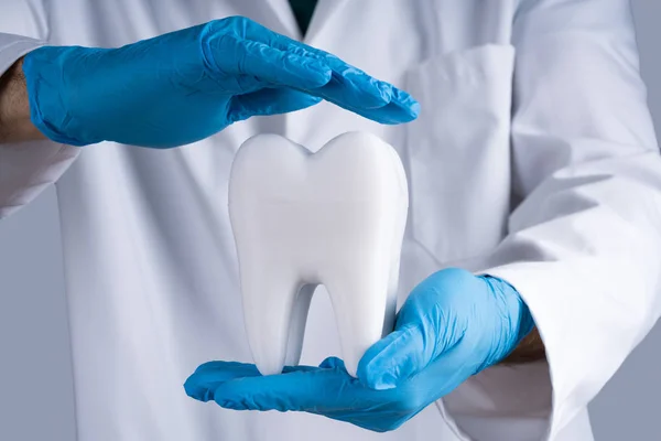 Dentist In Gloves Protecting Healthy Tooth Model