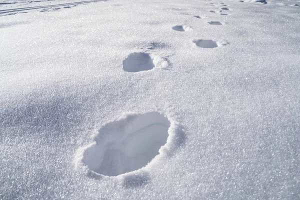 Passi Sul Fresco Bianco Neve Fine Primo Piano — Foto Stock