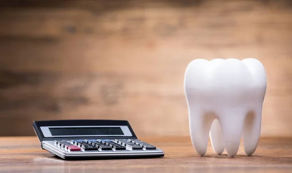 Calculator Near Model Tooth Over White Desk Against Gray Wall