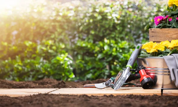 Outils Jardinage Ensemble Fleurs Dans Jardin Ensoleillé — Photo