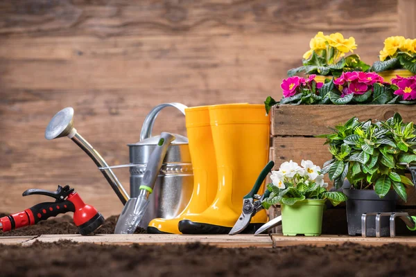 Ferramentas Jardinagem Flores Prontas Para Ser Plantadas — Fotografia de Stock