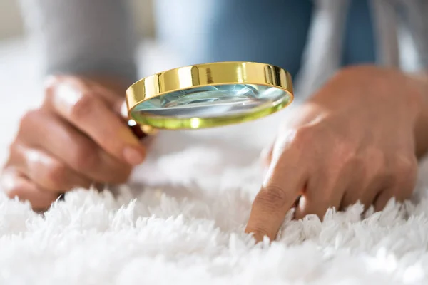 Young Female Looking Carpet Magnifying Glass — Stock Photo, Image