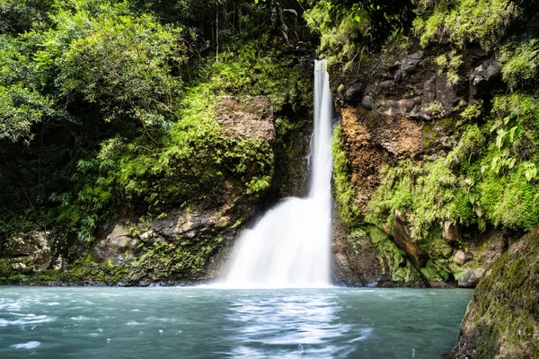 Chamouze Waterfall Chamarel Mauritius Island Africa — Stock Photo, Image