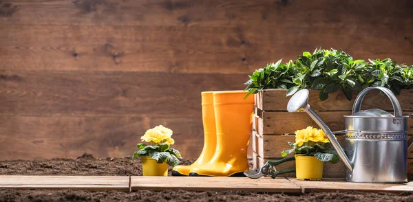 Ferramentas Jardinagem Flores Prontas Para Ser Plantadas — Fotografia de Stock