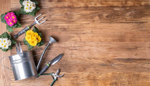 Attrezzi Giardinaggio Vasi Fiori Superficie Legno — Foto Stock