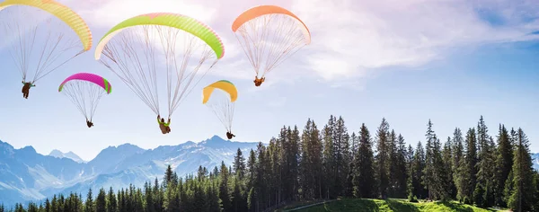 Dağlardaki Orman Üzerinde Süzülen Paragliderler — Stok fotoğraf