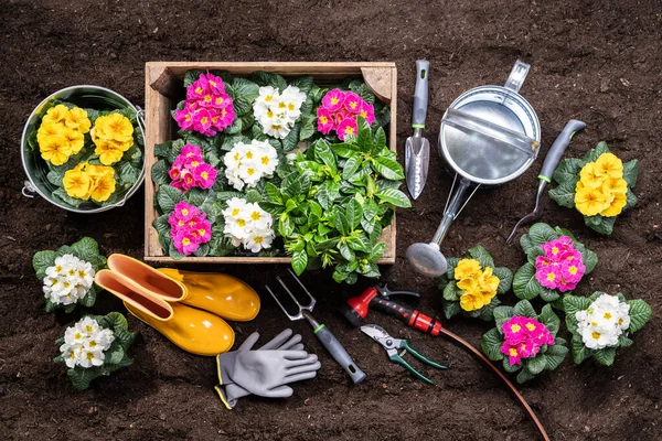 Attrezzi Giardinaggio Vasi Fiori Pronti Essere Piantati Giardino — Foto Stock