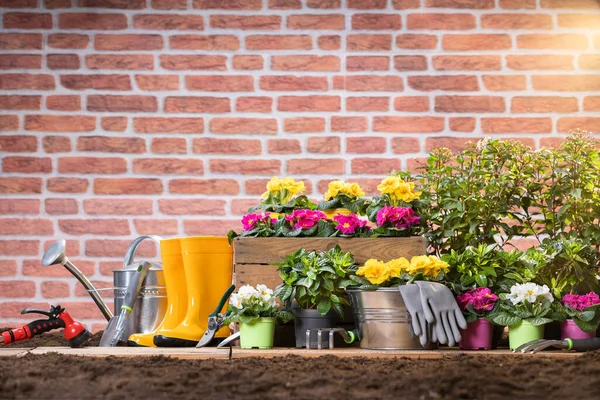 Attrezzi Fiori Giardinaggio Pronti Essere Piantati — Foto Stock