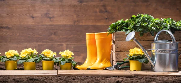 Attrezzi Fiori Giardinaggio Pronti Essere Piantati — Foto Stock