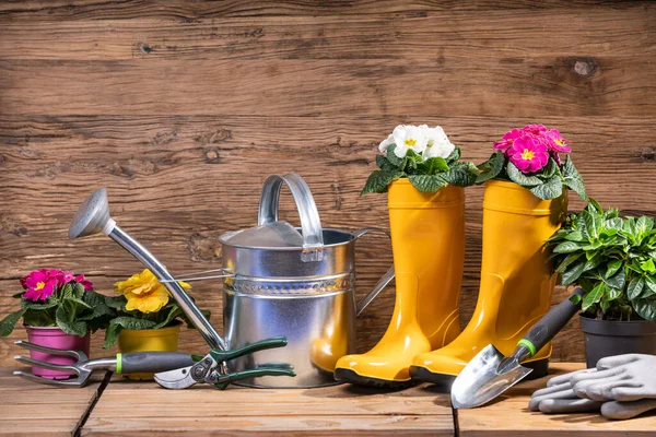 Attrezzi Fiori Giardinaggio Pronti Essere Piantati — Foto Stock