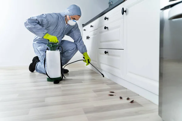 Exterminator Workwear Spraying Pesticide Sprayer — Stock Photo, Image