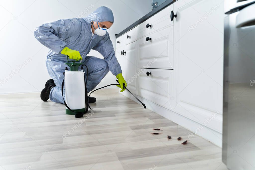 Exterminator In Workwear Spraying Pesticide With Sprayer