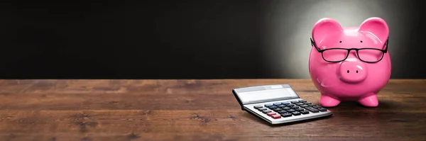 Begroting Financieel Advies Varkens Met Calculator — Stockfoto
