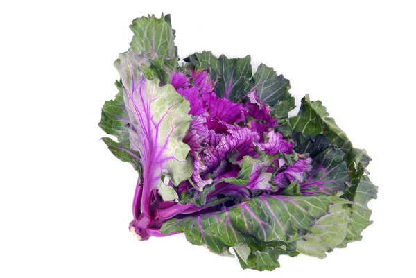 Kale cabbage button hole isolated — Stock Photo, Image