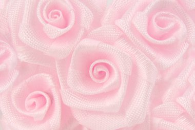 pembe Gül çiçek arka plan