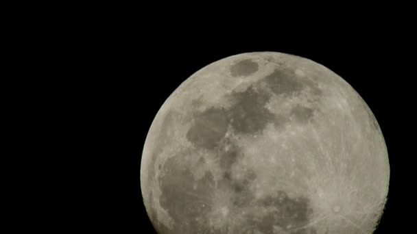 Full moon at night — Stock Video
