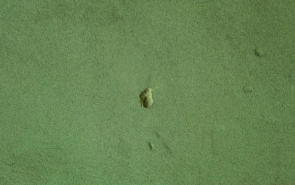 Eski bir yeşil duvar dokusu