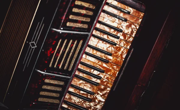 Oude decoratieve accordeon — Stockfoto