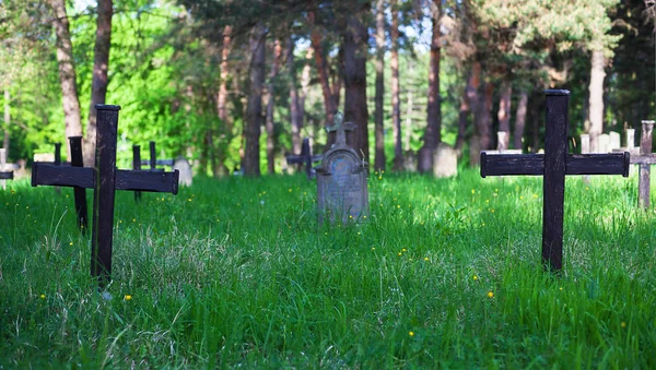 Старі кладовища в парку — стокове фото