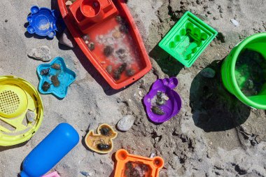 Kabukları ve yengeçler 