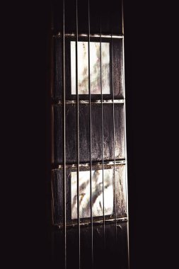 elektro gitar ayrıntıları