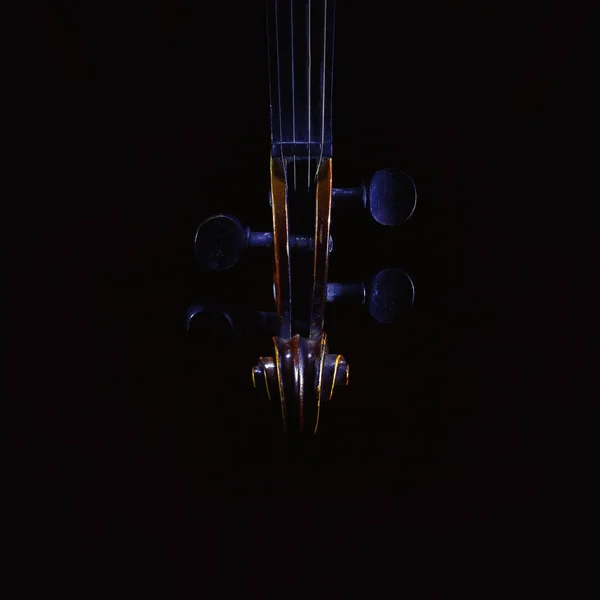 Violin i mörkret — Stockfoto