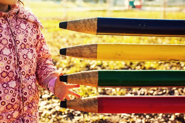 Stora färgglada trä pennor — Stockfoto