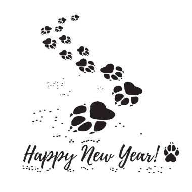 Köpek karda izler. Yeni Yılınız Kutlu Olsun.