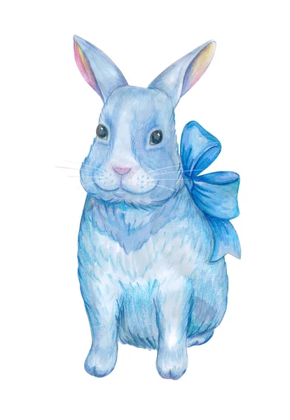 带着弓的可爱的小兔子 白色背景的复活节兔子 画卡通野兔 饲养牲畜 用于印刷或贴纸的孤立水彩画 — 图库照片