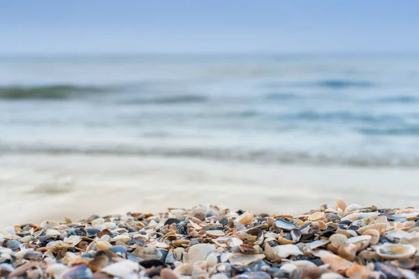 Zee kust achtergrond — Stockfoto