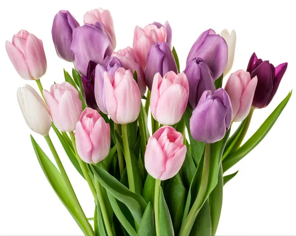 Coloridos tulipanes flores ramo —  Fotos de Stock