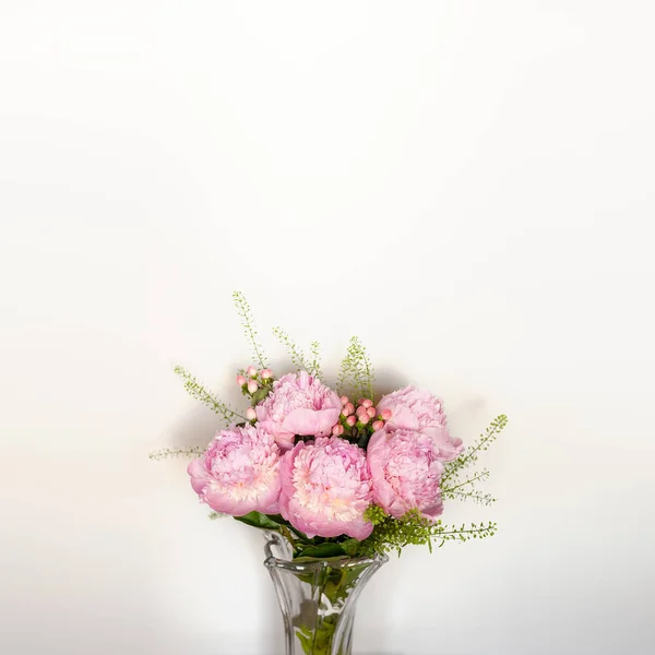 Roze pioenrozen bos — Stockfoto