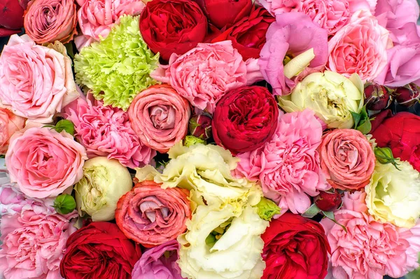 Háttér színes virágok — Stock Fotó