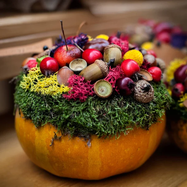 Sonbahar bitki dekorasyon.