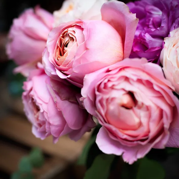 粉色玫瑰背景 — 图库照片
