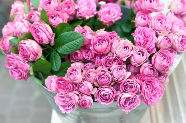 Rosa Rosen Blumen — Stockfoto
