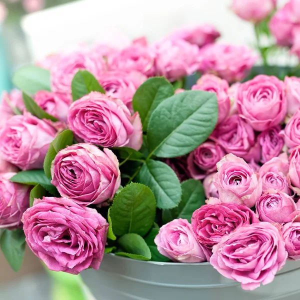 Rosa Rosen Blumen — Stockfoto