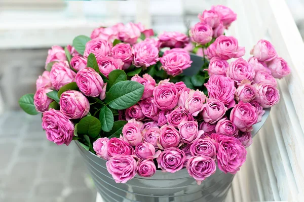 Rosa rosas flores — Fotografia de Stock