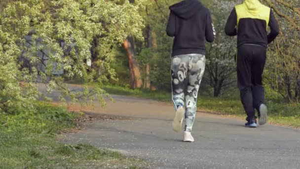 Par som springer i parken — Stockvideo